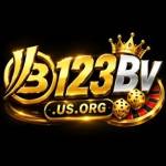 123bv us org Profile Picture