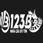 Nhà Cái 123B Profile Picture