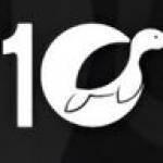 10 turtle Profile Picture