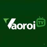 Vaoroi TV Trực Tiếp Bóng Đá Profile Picture