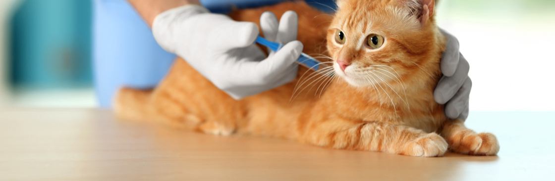 drycreekvet Cover Image