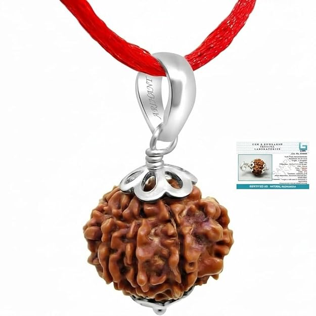 Original 7 Mukhi Nepali Rudraksha Pendant in 925 Sterling Silver with Certificate