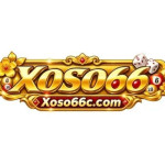 Xoso66 com Profile Picture