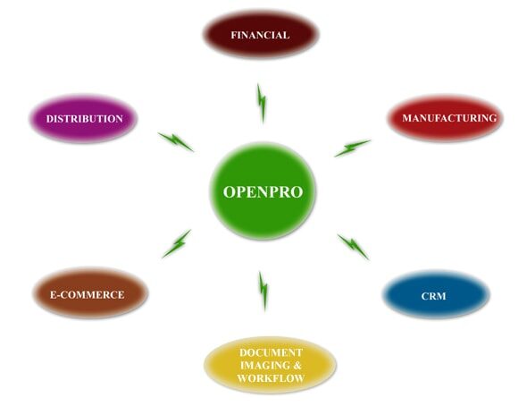 ERP Software for Wholesale & Enterprise ERP Solution