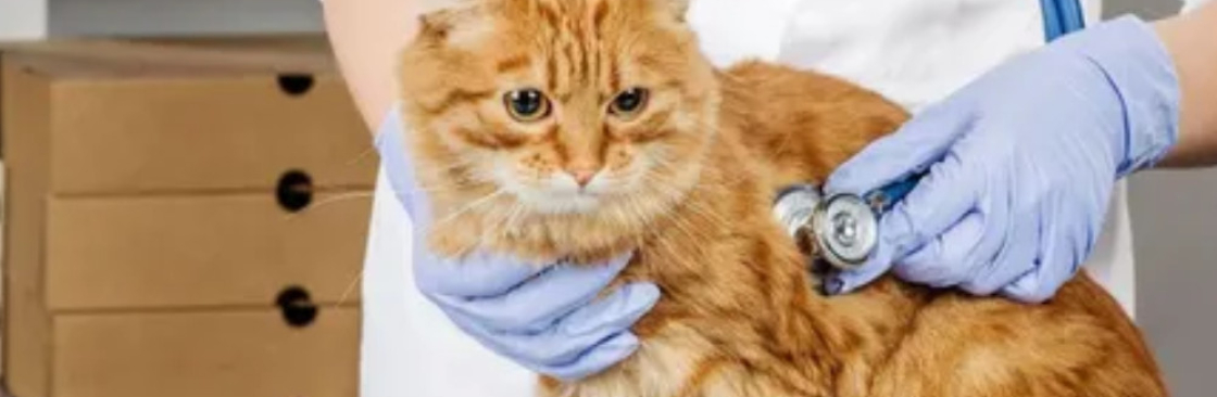Companion Animal Hospital Cover Image