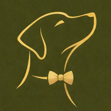 Reliable Dog Walking Services in Queens NY | Your Trusted Dog Walker Bayside | The Paw Butler
