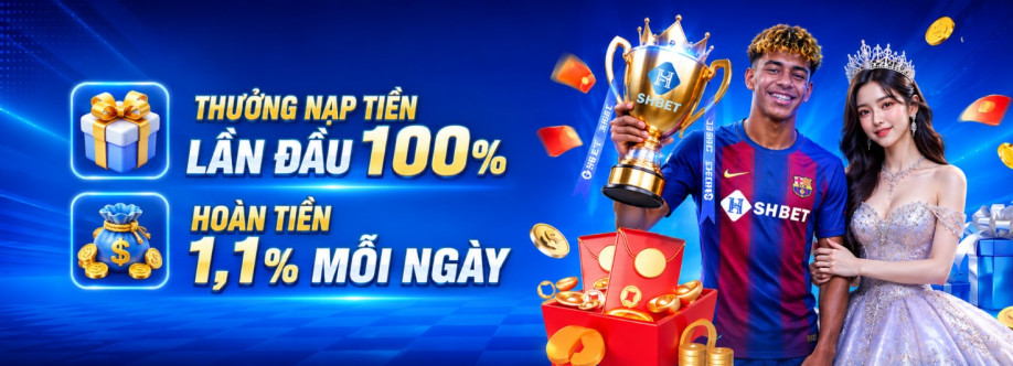 Newluckyslot nl Cover Image