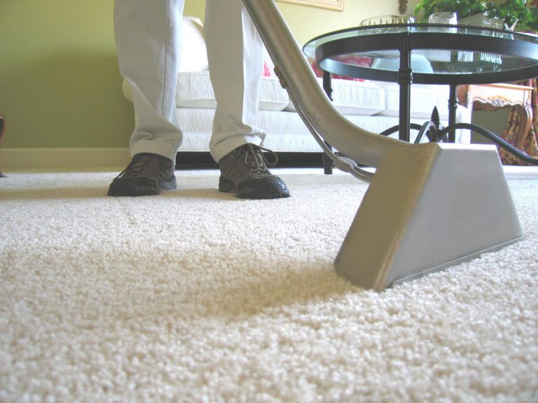 Professional Carpet Cleaning Services inWestlake CA