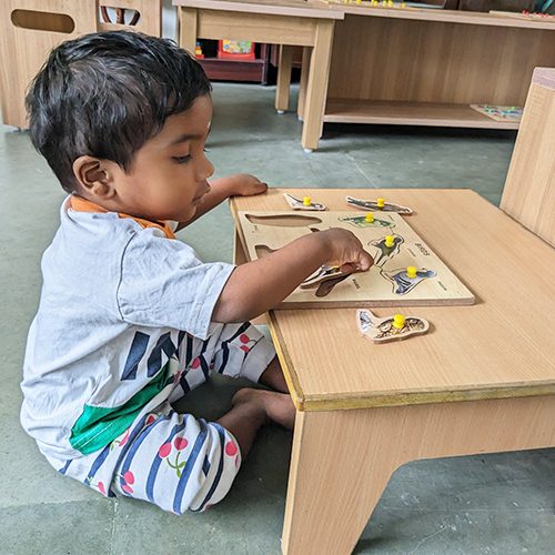 Montessori Schools in Velachery / Playschools in Velachery