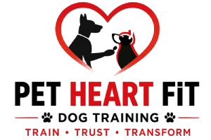 Trusted Dog Trainers in Bengaluru for Obedience And Behaviour