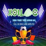 Xoilac 86 Trực Tiếp Bóng Đá Profile Picture