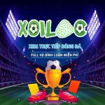Xoilac 86 Trực Tiếp Bóng Đá Profile Picture