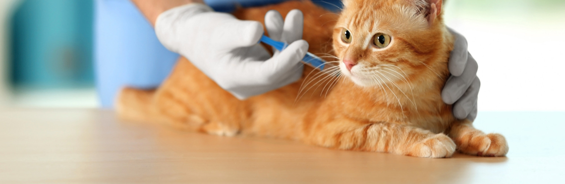 Lakeside Pet Hospital Cover Image