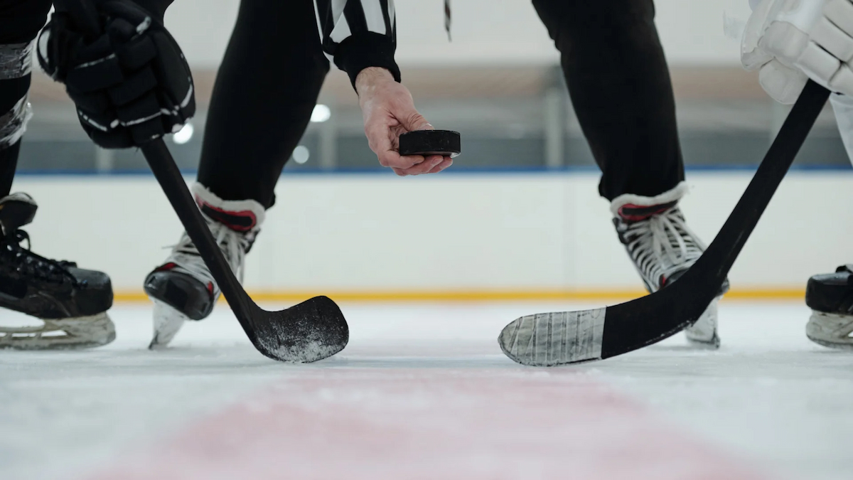 New vs. Refurbished Hockey Sticks: Which Is Better? | Compare Factory