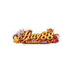 HAY88 Profile Picture