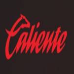 Caliente Casino Mexico Profile Picture