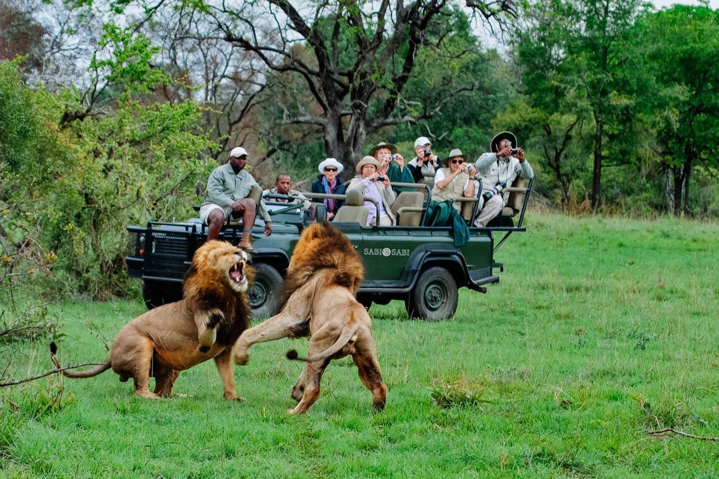 Sustainable Travel | Tips by Point B Travel