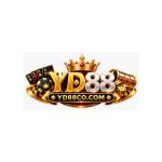 YD88 Profile Picture