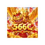 566c Profile Picture