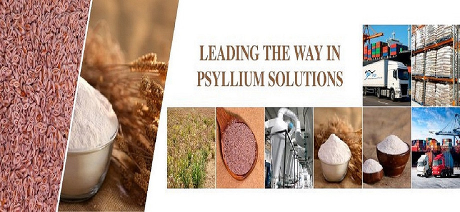 Boost Your Product Quality with a Trusted Psyllium Manufacturer in Australia - JustPaste.it