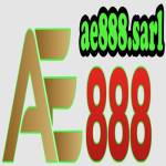 AE888 SARL Profile Picture
