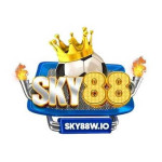 SKY88 WIO Profile Picture