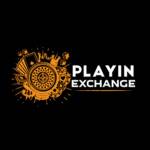 Playinexch Online ID Profile Picture