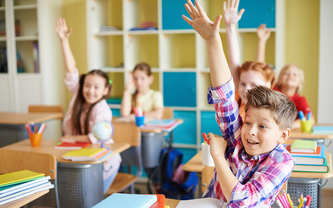 Best Primary School Noida | Middle School Guide