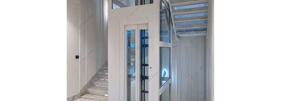 Home Elevators Cover Image