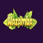 Wazamba Casino Profile Picture