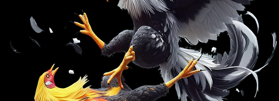 Nhà cái DO666 Cover Image