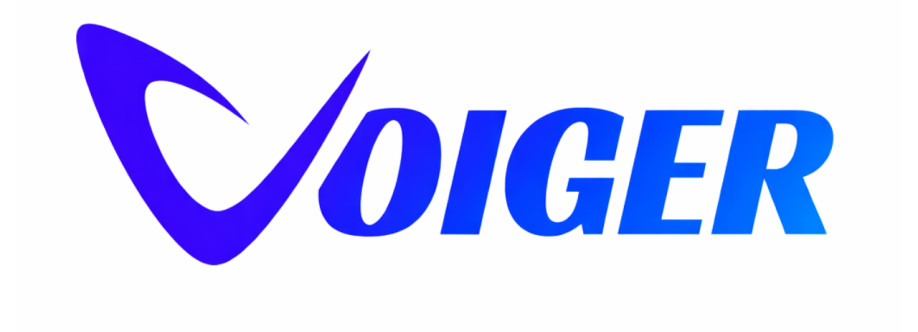 Voiger Voice Cover Image