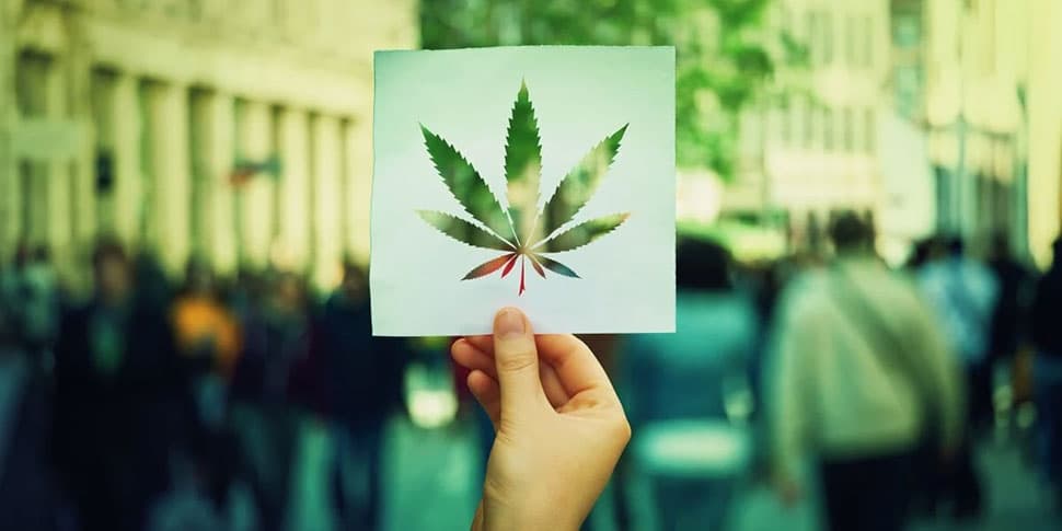 The Future of Cannabis: Trends and Innovations to Watch Out For - Toke Cannabis