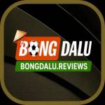 Bongdalu48 com Profile Picture