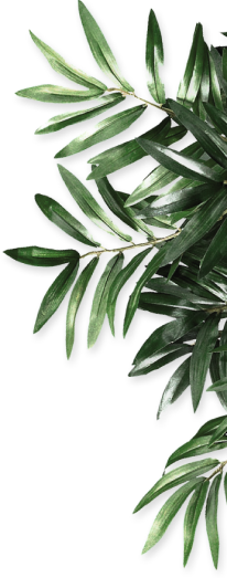 Vedam Herbs - Ancient Wisdom, Modern Wellness