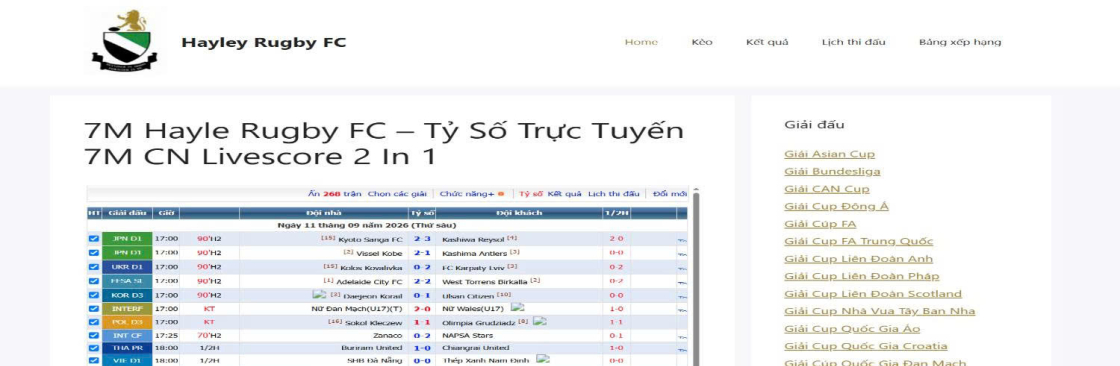 7M Hayle Rugby FC Cover Image