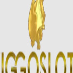Viggoslots Casino Profile Picture