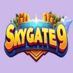 Skygate9 Casino Profile Picture
