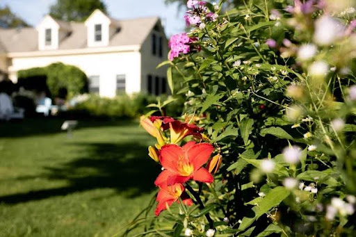 Is a Farm Retreat Good for Stress Relief? | PALENTU