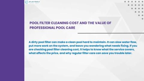 Pool Filter Cleaning Cost And The Value Of Professional Pool Care