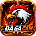 ĐÁ GÀ CAM Profile Picture