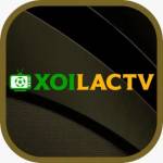 Xoilactvlive net Profile Picture