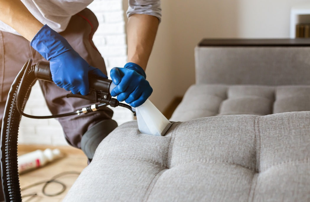Upholstery Cleaning Services in Allentown, PA: Refresh Your Furniture and Living Spaces - My SEO Directory
