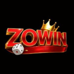 Zowins games Profile Picture