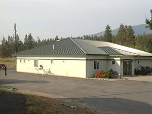 Metal Roofing in Canton, GA | Rise Residential Roofing