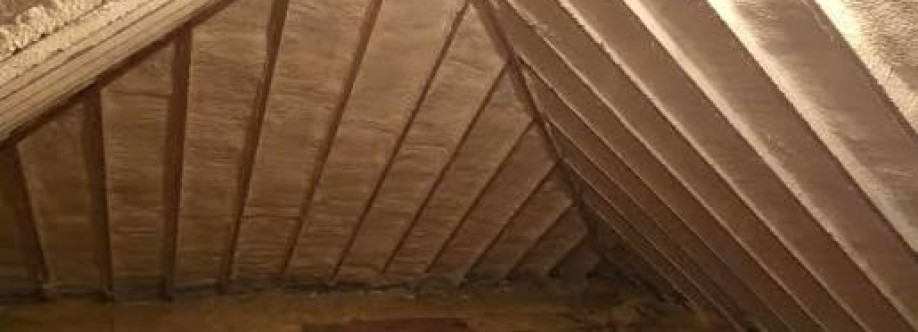 Lamothe Insulation Cover Image