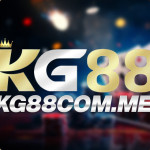 kg88comme Profile Picture