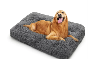 What Makes an Anti-anxiety Dog Bed Comfortable for Dogs? - WorldTiding