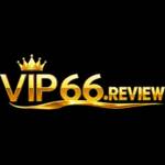 VIP66 Profile Picture