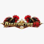 dagatructiep28 com Profile Picture